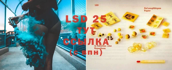 прущие грибы Видное