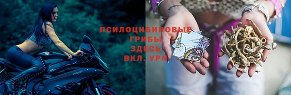 синтетический гашиш Весьегонск