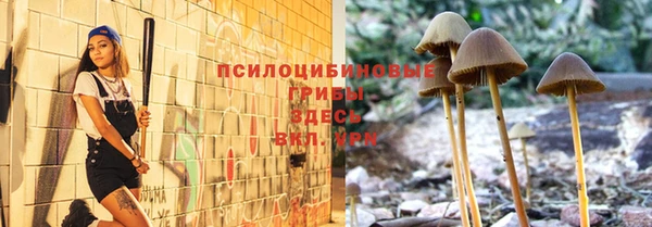 синтетический гашиш Весьегонск